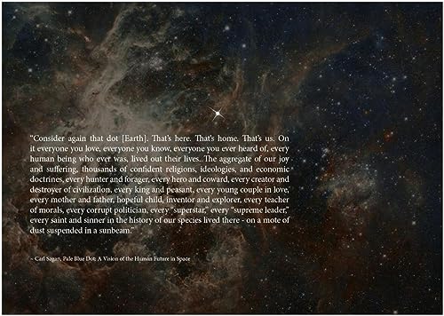 TANYANG Vintage Carl Sagan Pale Blue Dot Zitat Kunstdruck Poster Leinwand Gemälde Home Wall Decor 50X70Cm Kein Rahmen von TANYANG