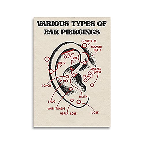 Verschiedene Arten Von Ohrpiercings, Ohrpiercings Diagramm, Piercing Poster, Infografiken Wandkunst Bild Für Wohnzimmer Wohnkultur 21X30Cm Kein Rahmen Verschiedene Arten Von Ohrpiercings, Ohrpiercings Diagramm, Piercing Poster, Infografiken Wandkunst Bild Für Wohnzimmer Wohnkultur 21X30Cm Kein Rahmen von TANYANG