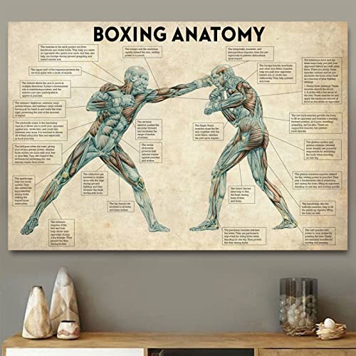Vintage Boxing Body Anatomy Poster Prints Moderne Wandkunst Leinwand Malerei Boxing Lover Gift Gym Room Decor Home Decoration 60X90Cm Kein Rahmen von TANYANG
