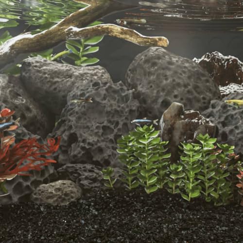 TANZEM Vulkanfelsen 10 kg schwarz 10-30 cm Aquarium Dekoration Stein Schwarz Vulkangestein Fisch Tank Dekorative Landschaftsbau Felsen Ätherisches Öl Diffusor Stein für Blumentopf Aquarium Terrarium TANZEM Vulkanfelsen 10 kg schwarz 10-30 cm Aquarium Dekoration Stein Schwarz Vulkangestein Fisch Tank Dekorative Landschaftsbau Felsen Ätherisches Öl Diffusor Stein für Blumentopf Aquarium Terrarium von TANZEM