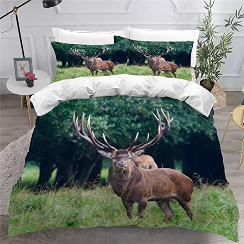 Hirsch Bettwäsche 155x220 Teenager Bettbezug Modern Leicht Mikrofaser Sommer Bettwäsche-Set 3Teilig mit 2 Kissenbezug 80x80 Tiere Wiese Bettbezüge mit Versteckter Reißverschluss von TAOLU