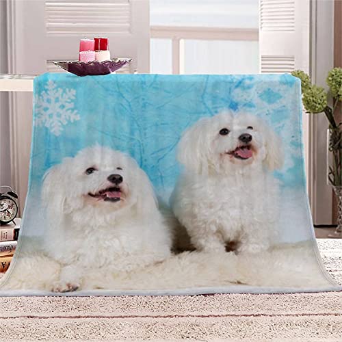 TAOLU Kuscheldecke Flanell 70x100 cm Malteser Hund Weihnachten Fleecedecke 3D Hochwertige waschbar Sofadecke mit Muster Flauschige Weiche&Warme Sofaüberwurf Decke Antistatisch Haustier Süß von TAOLU