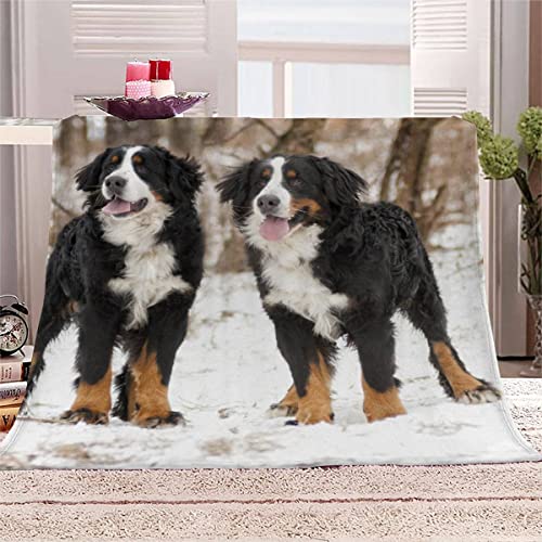 TAOLU Wohndecke 150x200 Berner Sennenhund Waschbar Flauschige Flanell Fleecedecke Antistatisch Hochwertige Sofadecke mit 3D Muster Haustier Süß für alle Jahreszeiten Für Kinder&Erwachsene von TAOLU