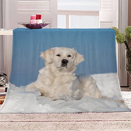 TAOLU Wohndecke 150x200 Golden Retriever Waschbar Flauschige Flanell Fleecedecke Antistatisch Hochwertige Sofadecke mit 3D Muster Haustier Süß für alle Jahreszeiten Für Kinder&Erwachsene von TAOLU