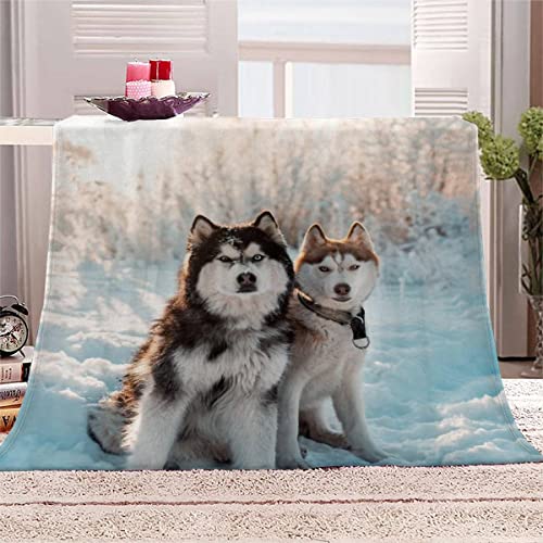 Wohndecke 150x200 Sibirischer Husky Waschbar Flauschige Flanell Fleecedecke Antistatisch Hochwertige Sofadecke mit 3D Muster Haustier Süß für alle Jahreszeiten Für Kinder&Erwachsene von TAOLU