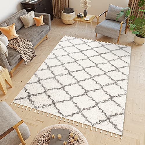 TAPISO Boho Fringes Teppich Hochflor Langflor Shaggy Fransenteppich Creme Gitter Diamanten Viereck Einfarbig Flauschig Modern Design ÖKOTEX 80 x 150 cm TAPISO Boho Fringes Teppich Hochflor Langflor Shaggy Fransenteppich Creme Gitter Diamanten Viereck Einfarbig Flauschig Modern Design ÖKOTEX 80 x 150 cm von TAPISO