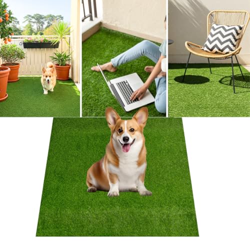 TAPISO Canyoo Rasenteppich Kunstrasen Grün - Höhe:30 mm Meterware für Garten Balkone Terrassen Wintergärten 200 x 150 cm von TAPISO