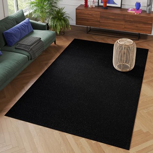 TAPISO Mono Teppich Kurzflor Schwarz Einfarbig Indoor Outdoor Wohnzimmer Schlafzimmer Kinderzimmer UV-beständig Modern Design ÖKO-TEX 240 x 330 cm von TAPISO