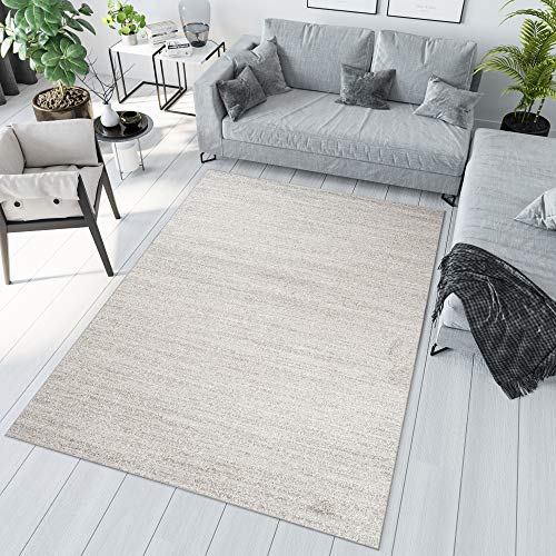 TAPISO Sari Teppich Kurzflor Teppiche Creme Hellgrau Modern Design Meliert Verwischt Wohnzimmer Schlafzimmer ÖKOTEX 220 x 320 cm von TAPISO