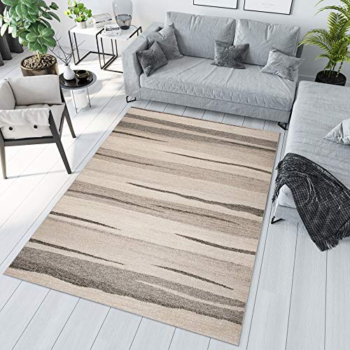 TAPISO Sari Teppich Wohnzimmer Kurzflor Modern Beige Streifen Design Meliert Schlafzimmer ÖKOTEX 300 x 400 cm von TAPISO