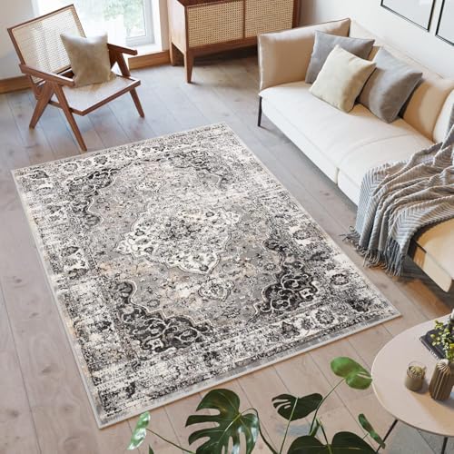 TAPISO Valley Teppich Kurzflor Hellgrau Grau Vintage Rosette Ornamental Meliert Used Effekt Wohnzimmer Schlafzimmer ÖKO-TEX 300 x 400 cm von TAPISO