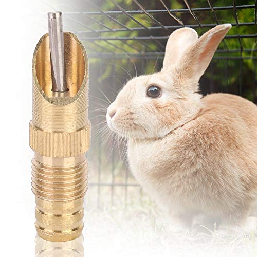 Kaninchenwässerungssystem, Automatische Kaninchennippeltrinker -Feeder 10pcs mit Befestigungsschraube Kaninchen -Wasserer Zur Einfachen Reinigung von TARSHYRY