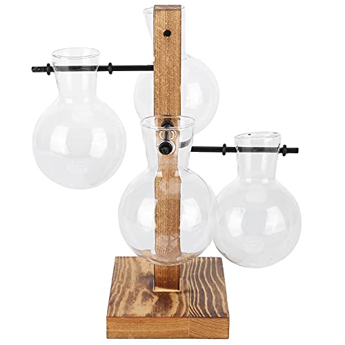 TARSHYRY Ausbreitungsvasen für Pflanzen, Hydroponische Vase -Glas -Terrarien für Pflanzen Luftpflanzenhalter mit Hölzernen Ständer Transparenter Desktopblütenvase von TARSHYRY