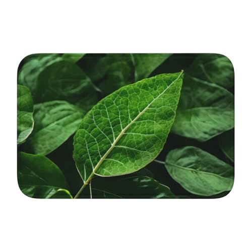 TATAUU Green Leaf Nature Saumpolster 40x60 Weich und bequem, rutschfest und verschleißfest, mit verschiedenen Mustern, geeignet für Zuhause und Büro. TATAUU Green Leaf Nature Saumpolster 40x60 Weich und bequem, rutschfest und verschleißfest, mit verschiedenen Mustern, geeignet für Zuhause und Büro. von TATAUU