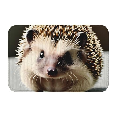 TATAUU Niedlicher Igel-Saumpolster, 40 x 60 cm, weich und bequem, rutschfest und verschleißfest, mit verschiedenen Mustern, geeignet für Zuhause und Büro. von TATAUU