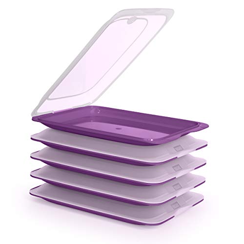 TATAY Fresh System - Hochwertige Aufschnitt-Boxen, Frischhaltedose für Aufschnitt. Optimale Aufbewahrung im Kühlschrank (5X Aubergine) von TATAY