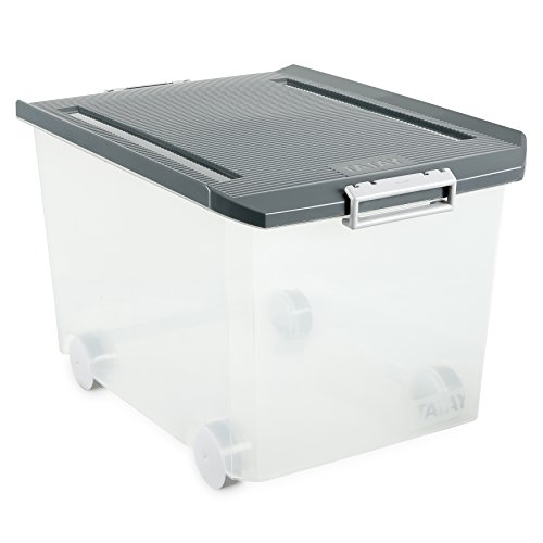 Tatay Aufbewahrungsbox mit Deckel, 60 l Fassungsvermögen, mit Griffen, Polypropylen, BPA-frei, Grau. Maße 40 x 57 x 36 cm von TATAY
