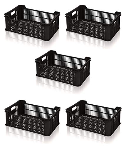 5x Gemüsekiste schwarz grau 60x40x22 Obstkiste * Gemüse Obst Kiste Lagerkiste inkl. Zollstock von TBA