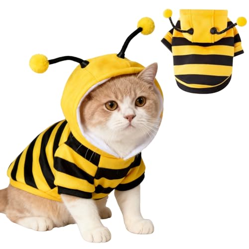 Katzen-Bienenkostüm, Katzen-Halloween-Kostüm, niedliche Katzenkleidung, Halloween, Kätzchen, Kapuzenpullover, Katzen-Outfits, kleine Hunde, Bienenkostüme, Gelb, Größe L von TBAMTBW