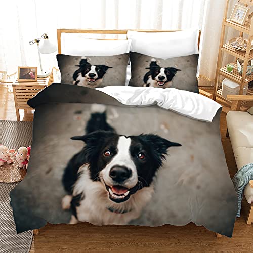 TBBDH Bettwäsche 135x200 Grauer Border Collie 3D Mikrofaser JugendbettwäSche Set, Atmungsaktive Hypoallergene Bettdecke mit Reißverschluss + 2 Kissenbezüge 80x80 cm von TBBDH