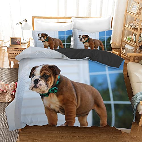 TBBDH Bettwäsche 135x200 Weiße Bulldogge 3D Mikrofaser JugendbettwäSche Set, Atmungsaktive Hypoallergene Bettdecke mit Reißverschluss + 2 Kissenbezüge 80x80 cm von TBBDH