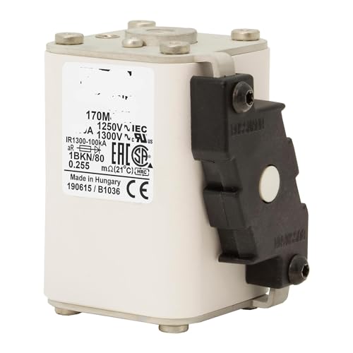 1 Stück Sicherung 170M4496 1 Stück Sicherung 170M4496 von TBHEEPQQ