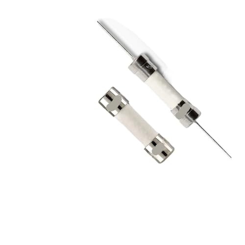 1 Stück mit Blei S501 50 mA-10 A 250 V Keramikrohr 5 x 20 mm Sicherung(S501-V-6.3-R) von TBHEEPQQ