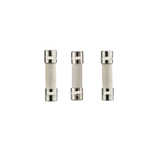 1PCS elektronischer Schutz S501 0,5A-10A 250V Keramikrohr 5x20mm Sicherung(S501-3.15-R) von TBHEEPQQ