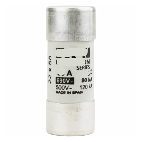 Sicherung C22G100 100A Keramiksicherung 500V 22x58mm(C22C2 2A) von TBHEEPQQ
