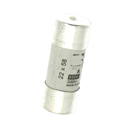 Sicherung Sicherung C22G100S 100A 500V 22x58mm(C22G25S) von TBHEEPQQ