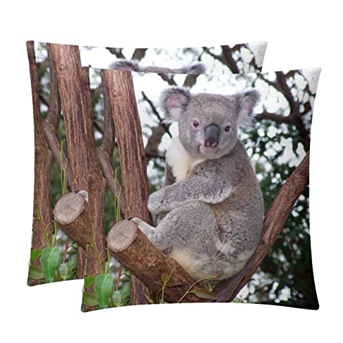 TBOUOBT Set mit 2 dekorativen Kissenbezügen, Kissenbezug für Sofa, Schlafzimmer, Auto,Tierischer Koala Wald von TBOUOBT