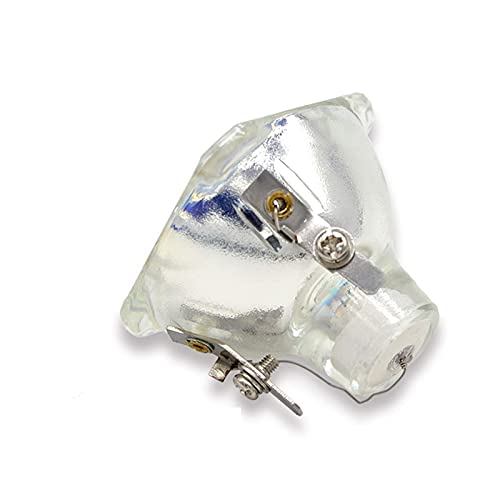 Kompatibel EC.J2101.001 passend für ACER XD1250P XD1170 XD1170D XD170D DNX0503 XD127 Projektorlampe Projektionsbirne Ersatz von TBTeekk
