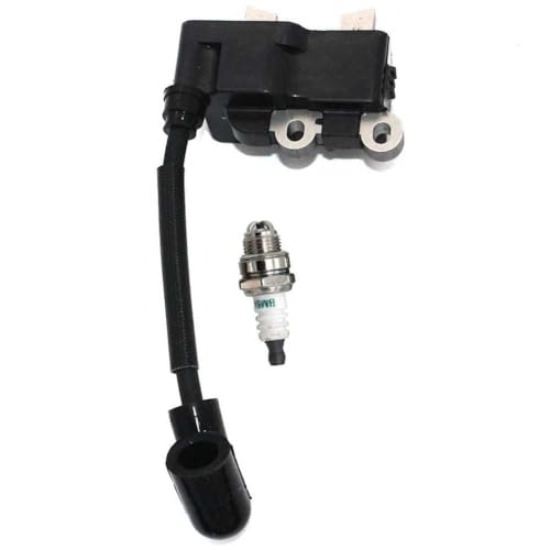 Zündspulen -Zündkerze kompatibel mit RY251PH RY252CS RY253SS RY254BC -Modellen Zündspulen -Zündkerze kompatibel mit RY251PH RY252CS RY253SS RY254BC -Modellen von TBXwsofl