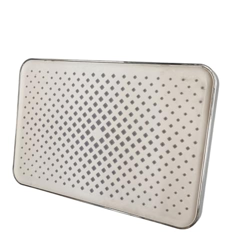 TCVCTNMZTX 12 Zoll großer Panel-Regenduschkopf for großem Durchfluss, wassersparender Duschhahn for Badezimmer Duschkopf(Silver top shower) von TCVCTNMZTX