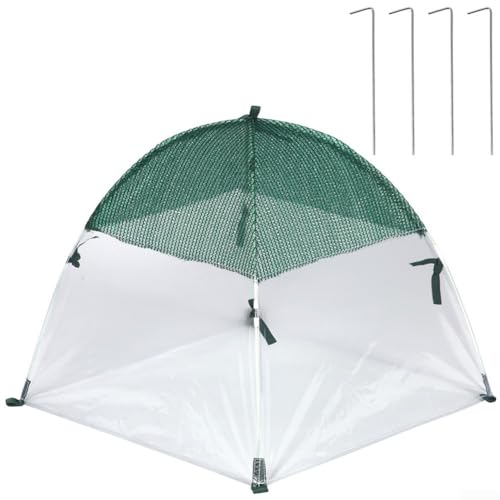 TDCuizent Mini-Gewächshausabdeckung Pflanzenschutzzelt 60x60x60cm Transparent Gartenunterstand mit Bodennägeln Outdoor Kaltwetter Schild für Gemüse Blumen Topfpflanzen Balkon Kinderzimmer (D) von TDCuizent