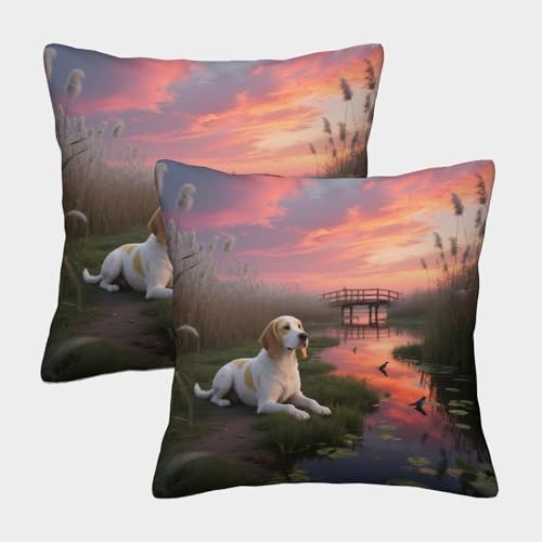 TDSNKAVHB Der Clumber Spaniel 3D Printed Pillow Case Decorative Square Cushion niedlich Haustier Standard Pillowcase Set of 2 Case Set for Couch Sofa Bedroom Living Room 40x40cm von TDSNKAVHB