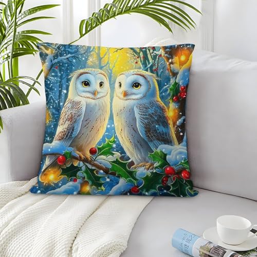 TDSNKAVHB Eule 3D-druckte Kissen Hülle Wohnaccessoire Quadratkissen Schnee Kissenbezugsset Aus 2 Für Zuhause Bett Wohnzimmer Sofa 45x45cm von TDSNKAVHB