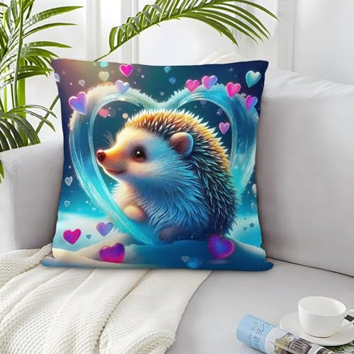 TDSNKAVHB Hedgehog 3D-druckte Kissenhülle Dekoratives Quadratkissen Nettes Haustier Kissenbezugsset Aus 2 Für Zuhause Bett Wohnzimmer Sofa 40x40cm von TDSNKAVHB