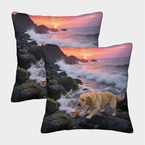 TDSNKAVHB Labrador Retriever 3D Printed Pillowcase Decorative Square Cushion niedlich Haustier Cushion Cover Set of 2 for Home Bed Living Room Sofa 45x45cm von TDSNKAVHB