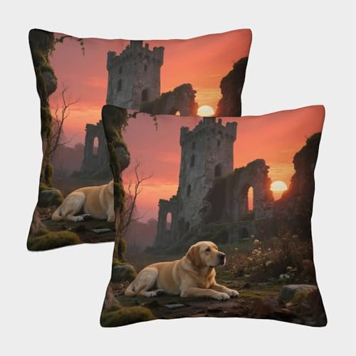 TDSNKAVHB Labrador Retriever 3D Printed Throw Pillow Home Decorative Square Cushion niedlich Haustier Cushion Cover Set of 2 for Home Bed Living Room Sofa 45x45cm von TDSNKAVHB