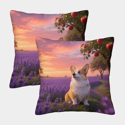 TDSNKAVHB Pembroke Walisischer Corgi 3D Printed Pillow Cover Decorative Square Cushion niedlich Haustier Festival Decor Gift Set of 2 for Home Bed Living Room Sofa 45x45cm von TDSNKAVHB