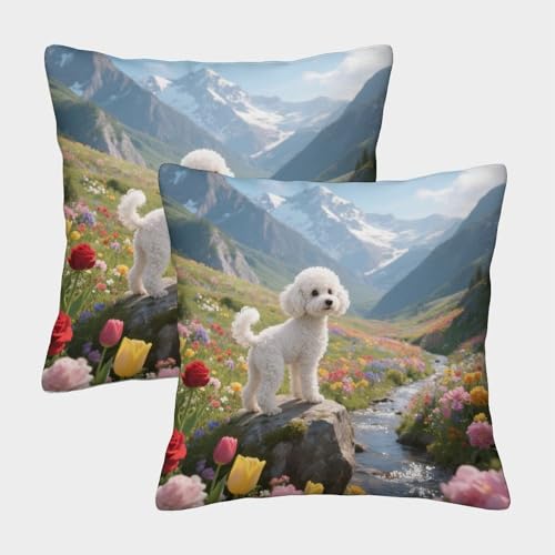 TDSNKAVHB Poodle 3D Printed Pillow Cover Decorative Square Cushion niedlich Haustier Cushion Cover Set of 2 Case Set for Couch Sofa Bedroom Living Room 50x50cm von TDSNKAVHB
