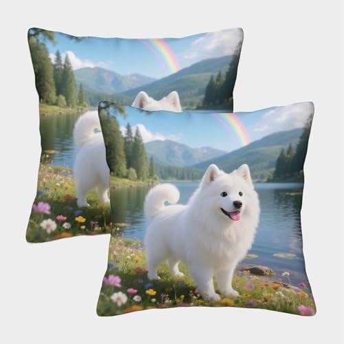 TDSNKAVHB Samojed 3D Printed Pillowcase Home Decorative Square Cushion niedlich Haustier Standard Pillowcase Set of 2 Case Set for Couch Sofa Bedroom Living Room 50x50cm von TDSNKAVHB
