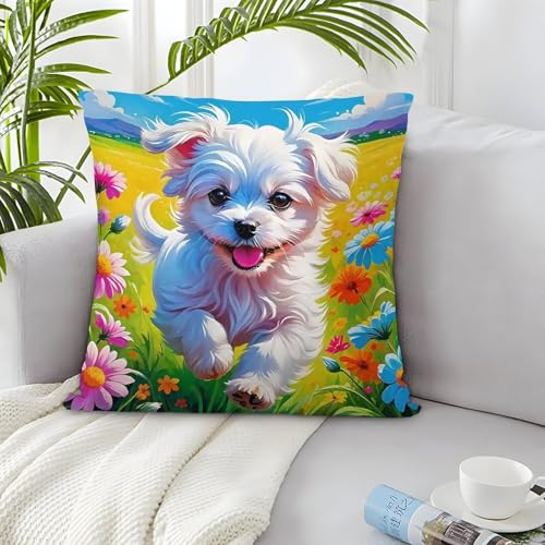 TDSNKAVHB maltesisch 3D-druckte Kissenhülle Wohnaccessoire Quadratkissen Nettes Haustier Standard-Kissenhüllenset Aus 2 Für Zuhause Bett Wohnzimmer Sofa 50x50cm von TDSNKAVHB