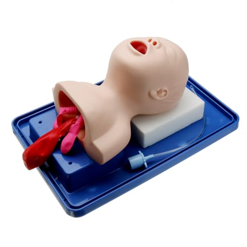 Intubation Manikin Study Baby Infant Teaching Model Airway Management Trainer Intubation Manikin Study Baby Infant Teaching Model Airway Management Trainer von TEAFIRST
