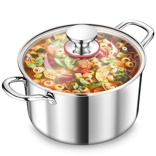 TEAMFAR Kochtopf Groß 24cm, 3-Lagen Edeastahl 5,7L Topf mit Glasdeckel für alle Herdarten, Suppentopf Nudeltopf Induktion zum Kochen, Edelstahl poliert & Unbeschichtet, Gesund, Spülmaschinenfest von TEAMFAR