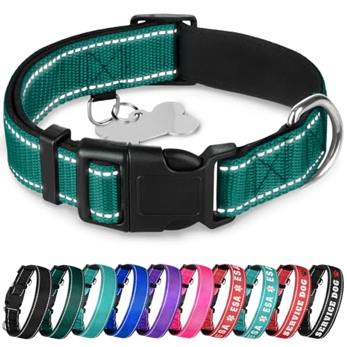 TECEUM Reflektierendes Hundehalsband - Dunkles Smaragdgrün - M - Extra Weiche Polsterung - Basic Nylon Haustier Halsband - Schnellverschluss-Schnalle - Passend für kleine, mittelgroße und große Hunde von TECEUM