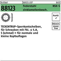 Sperrkantscheibe R 88123 NSK-S 10 Federstahl zinklamellenbeschichtet von TECKENTRUP