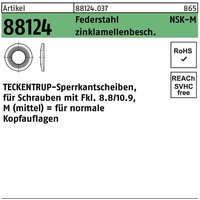 Sperrkantscheibe R 88124 NSK-M 10 Federstahl zinklamellenbeschichtet von TECKENTRUP
