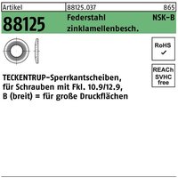 Sperrkantscheibe R 88125 NSK-B 10 Federstahl zinklamellenbeschichtet von TECKENTRUP